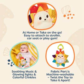 B. toys – Baby Musical Light – Up Hedgehog Toy with Lights & Sounds – Sensory Toy for Newborns, Babies – Music & Glowing Lights – RainGlow Buddy – 0+ Months