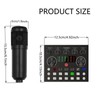 Podcast Equipment Bundle for 2 People, Studio Condenser Microphone, Voice