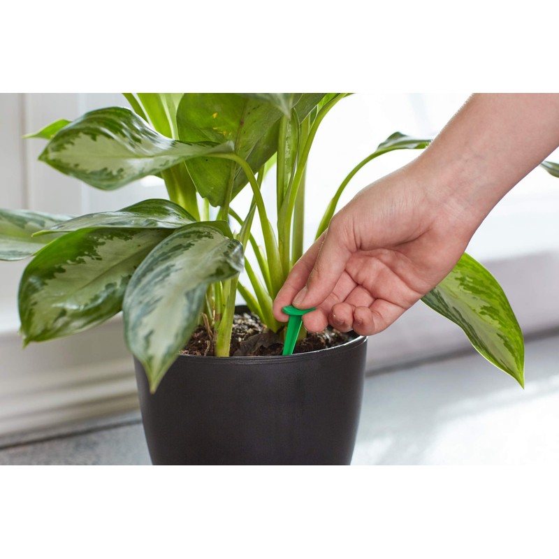 Miracle-Gro Indoor Plant Food Spikes, Includes 48 Spikes - Continuous