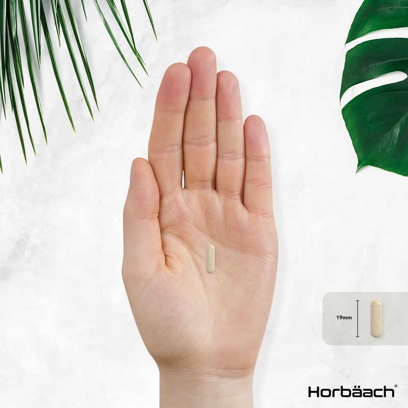 Bee Propolis Capsules | 2000mg | 90 Vegetarian Capsules |