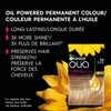 Garnier Garnier Olia Permanent Hair Dye, Ammonia-Free Hair Color, 9.0