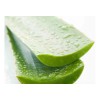 Gel Aloe Vera Bioaqua Blanqueamiento Quemaduras Hidrata