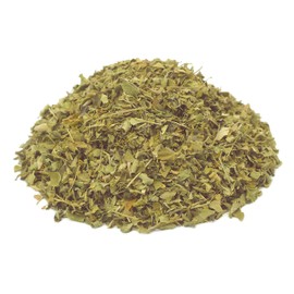 Kräutertee Moringa oleifera, mild, süß, frisch abgefüllt