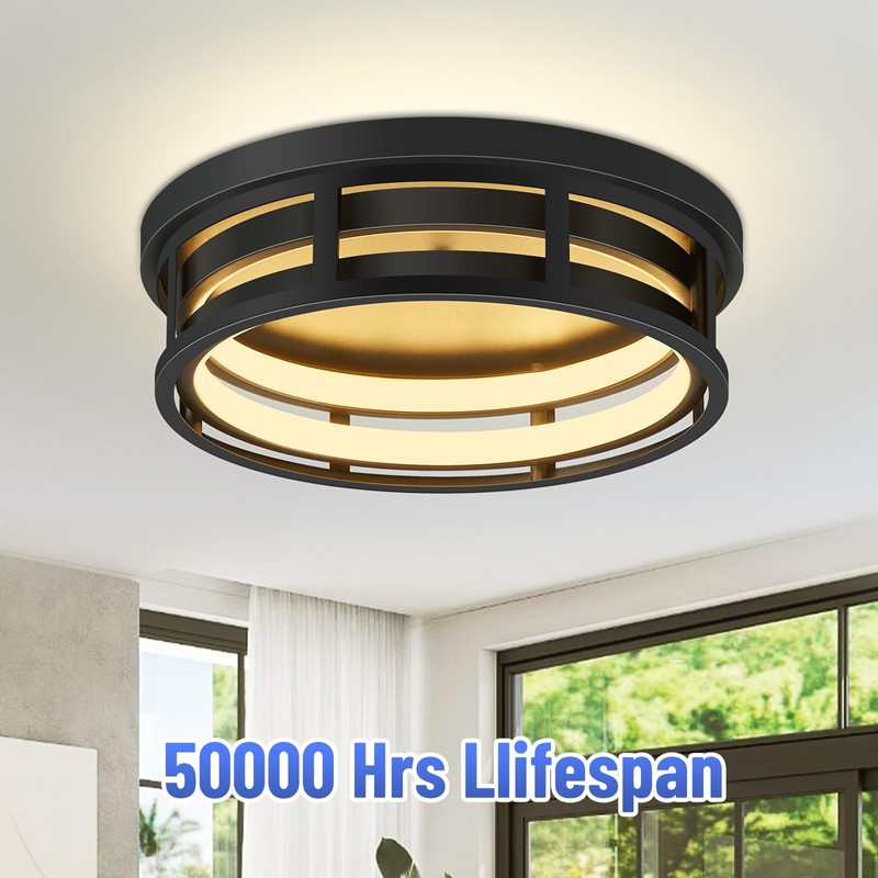 ZHU YAN LED Flush Mount Ceiling Light Fixture,Modern Hallway Light