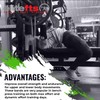 EliteFTS Pro Resistance Band - Boost Core Stability and Flexibility