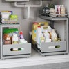 Biboraya 2 Pack Under Sink Organizer Upgrade to Professional Rails,2-Tier