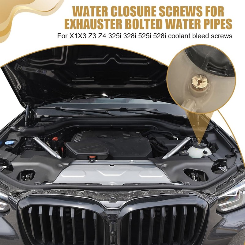 Lyxheth Radiator Coolant Expansion Tank Bleeder Screw, Radiator Drain Plug,