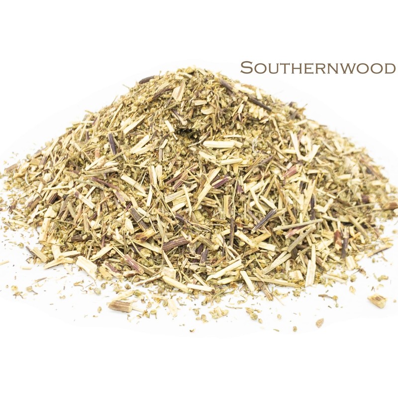 Southernwood and Green Tea Herbal Infusion (Gyokuro - 25 Unbleached