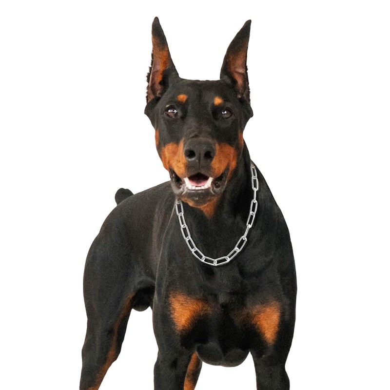 Woofuu Silver Dog Chain Collar,Heavy Duty Chew Proof Stainless Steel