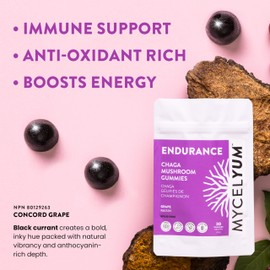 Mycelyum – ENDURANCE Chaga Mushroom Gummies, Canadian Made, Grape (30 Gummies) Antioxidant Rich, Boosts Energy, Immune Support, Inflammation Support – Vegan, All Natural, Low FODMAP – Fruiting Body Extract