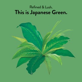 Choice Organics - Organic Japanese Green Tea (1 Pack) - Compostable - Contains Caffeine - 16 Organic Green Tea Bags