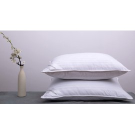 ArcticNorthDown Goose Down Feather Hotel Collection Bed Pillows for Sleeping Pair Standard Pillows for Back, Stomach or Side Sleepers Stripe White Color Set of 2 Pillows
