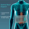 Tynor Lumbo Sacral Belt, Grey, Small, 1 Unit