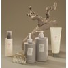 씨드비 채우담 모발 영양 트리트먼트, 300ml, 1개 Seedbee Hair Nutrition