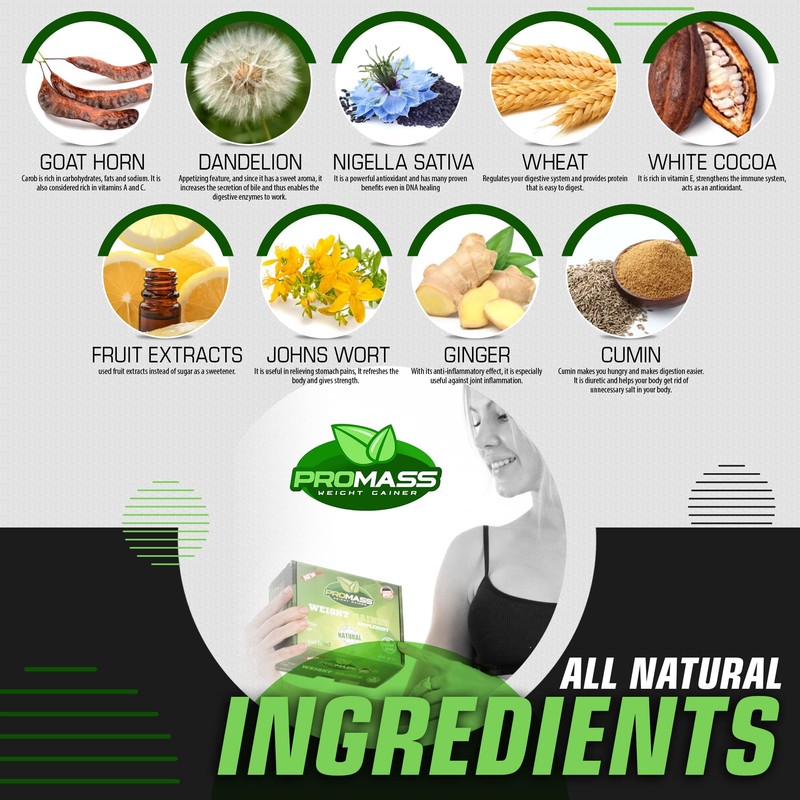 Promass Mass Gainer (Fast Result -Vegan Ingredients- Low Usage) for