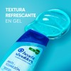 Head Shoulders Shampoo Control Caspa Anti-Comezón 375 ml 180 ml
