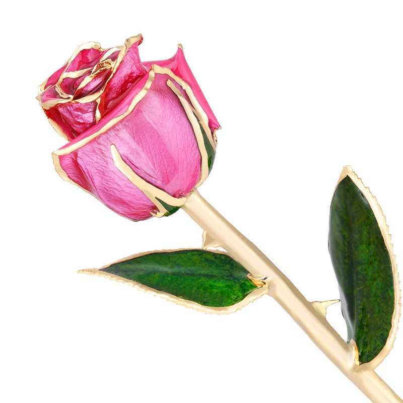 Ejoyous Gold Rose