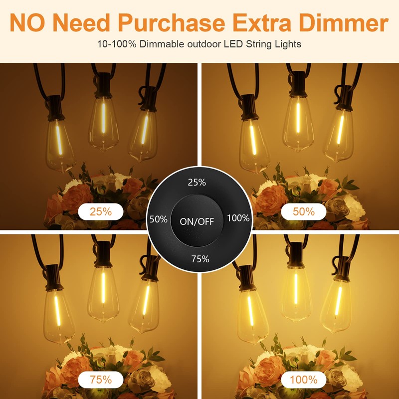 LaPitio 100FT Remote Outdoor String Lights for Outside, 50+2 LED