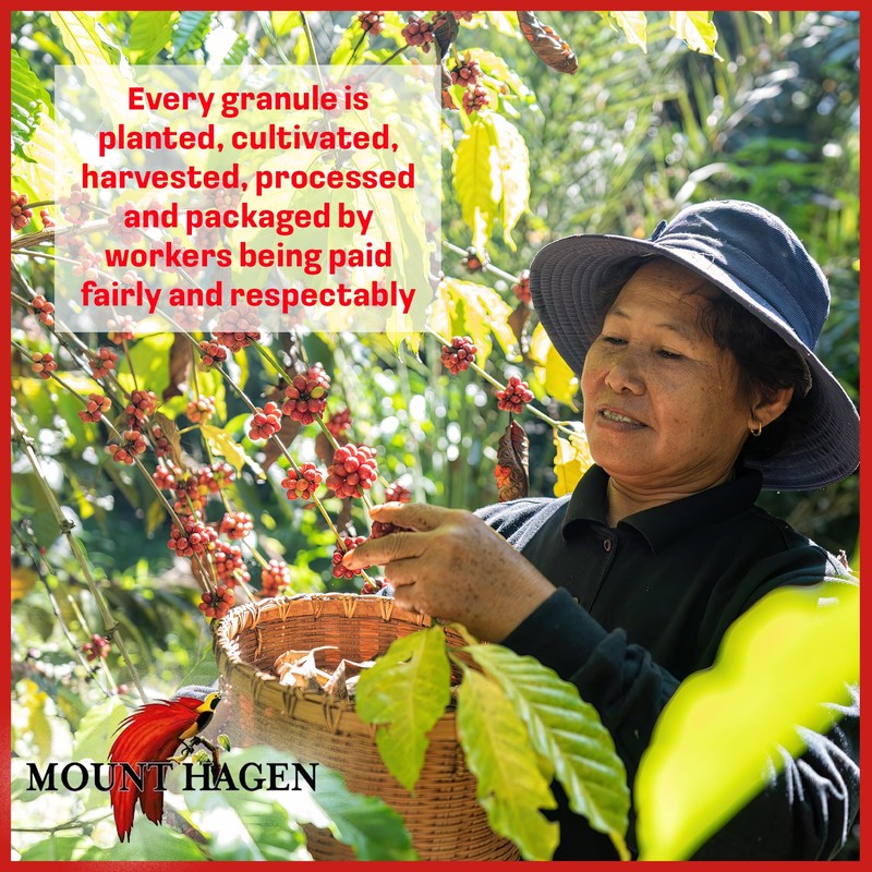 Mount Hagen 3.53oz Organic Freeze Dried Instant Coffee - 2