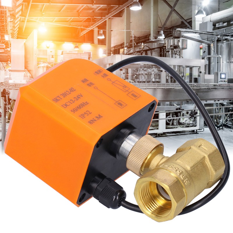DN20 Professional 2 Way Electric Ball Valve DC12/24V 2‑Wire Brass