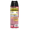 Raid Ant & Roach Killer Spray For Listed Bugs, Keeps