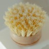 Wooden Dish Brush - choose-your-product: Dish Brush
