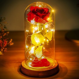 Norcalway from Daughter, Son, Husband - Beauty and The Beast Rose in Glass Dome - Birthday Gifts, Wedding, Anniversary Decorations - Beauty and The Beast Gift
