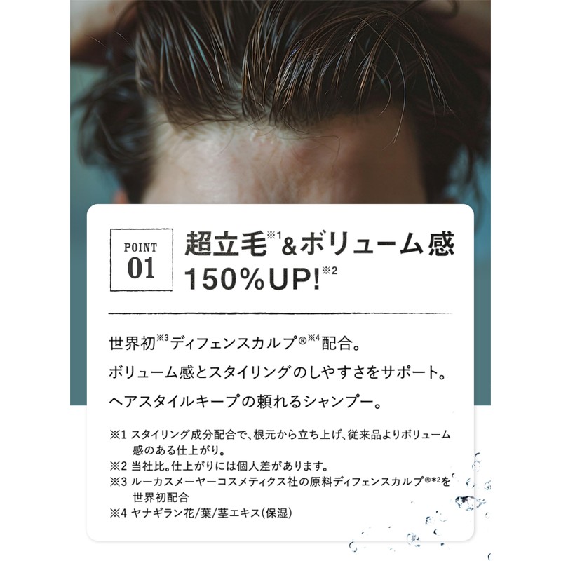 3D Volume Up Shampoo EX [Gentle Mint Scent] MARO Maro