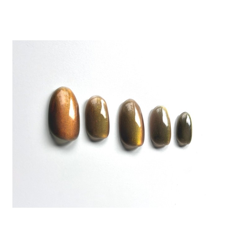[Self-made] Fig magnetic gel nail - Malkang Full Tip Oval