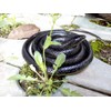 Realistic Rubber Black Snake 52 Inch Long Scare Toy