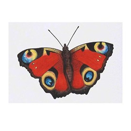 'Peacock Butterfly' Temporary Tattoo - Water Resistant, Skin-Safe, Non-Toxic Transfer (TO00028737)