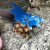 Turtle Harness and Leash with Wings Tortoise Leash Lizard Leash