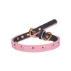 LOVPE Cat Collar/Dog Collar Golden Spiked Studded Double Layer Leather