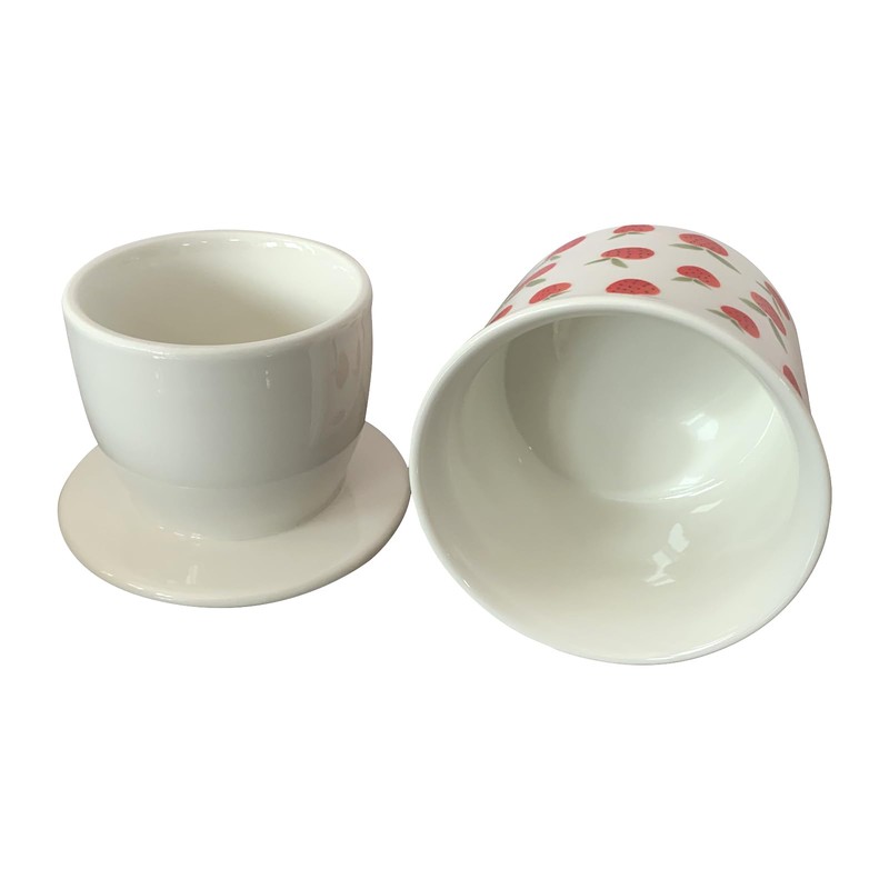 French Butter Crock for Counter With Water Line French Butter