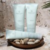 Awapuhi Wild Ginger de Paul Mitchell Intensive Treatment, Tratamiento Intensivo,