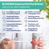2x Hypothyroidism Test (TSH) simple self-test for symptoms such as