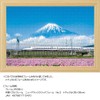 500 Piece Jigsaw Puzzle, Lotus Flower and Mt. Fuji (Shizuoka),