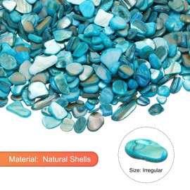 MECCANIXITY 500g Crushed Shells Irregular Natural Mosaic Sea Shell Fragments for Home Decoration Art Crafts DIY Projects Sky Blue