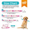 Cookie Paws Soft Neoprene Padded Dog Collar and Leash Set