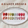 Yogurt Gel Gingerbread Syrup Gel 10-piece set / 요거트젤 진저브레드