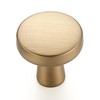 5 Pack Champagne Bronze Cabinet Knobs Mini Round Knobs Single