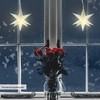 Cepewa Luminous Star 3D White 12 Prongs for Hanging |