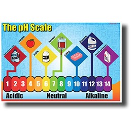 The pH Scale - NEW Classroom Science Poster