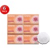 Caress Beauty Bar Soap Bundle with Bonus bath Sponge Loofah