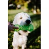 Hyper Pet Dura-Squeaks Barbell Interactive Fetch Dog Toy with Squeaker