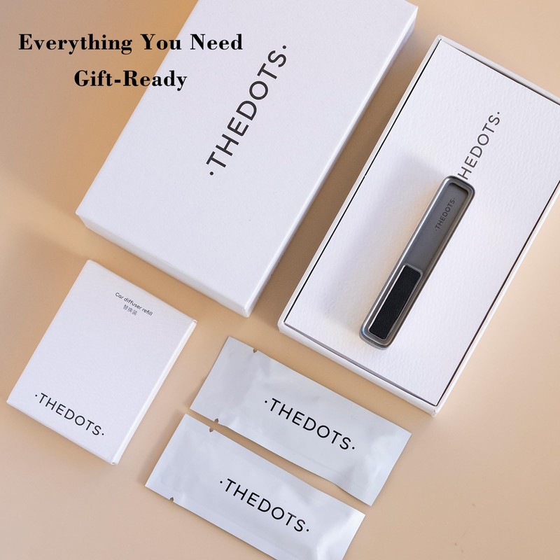 THEDOTS Gray Reusable Car Vent Clips with 2 Refills, Car