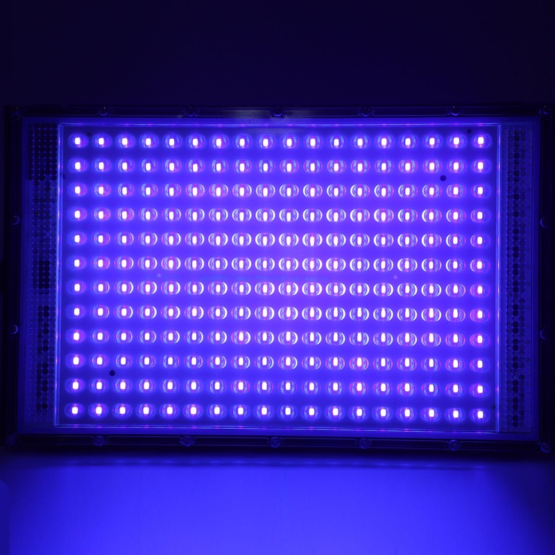 395nm 50W UV Black Light UV Flood Light IP66 Waterproof