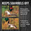 Droll Yankees Squirrel Proof Bird Feeders for Outdoors - YF-M