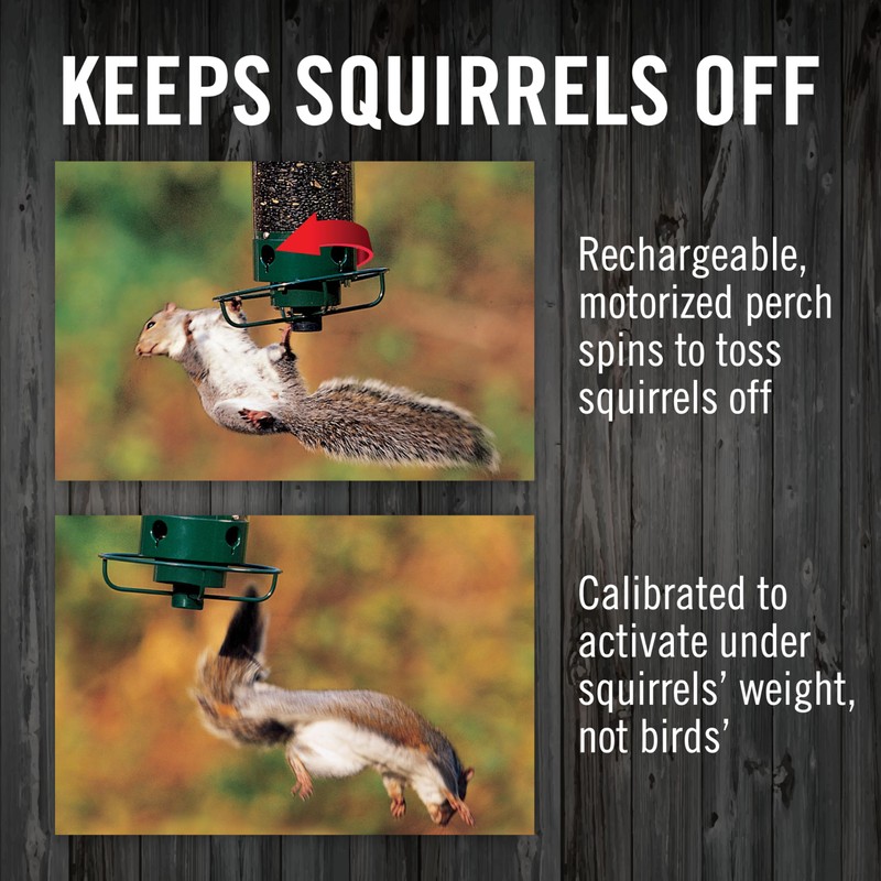 Droll Yankees Squirrel Proof Bird Feeders for Outdoors - YF-M