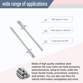 2Pcs Rosette Rivets Stainless Steel Fits for Ford Chrysler AMC VIN Door TAG,VIN Door Tag with GM AMC Cars (2)